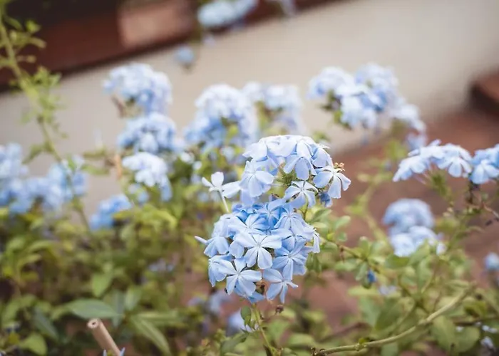 Albinelli's - 10m From Mercato Albinelli *